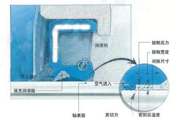 油封密封唇口與旋轉軸表面接觸區