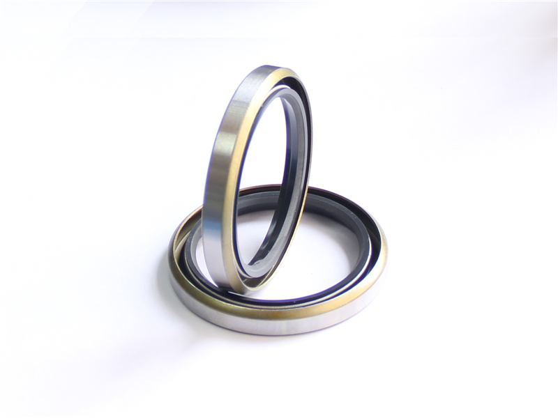 油封，浮動(dòng)，密封件，產(chǎn)品
