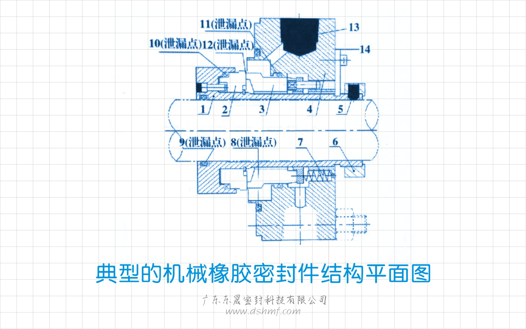 典型的機械橡膠密封件結構平面圖