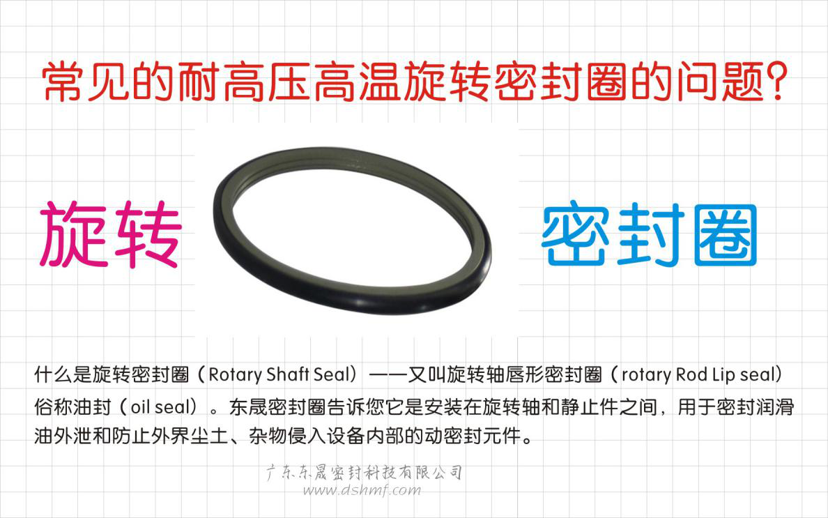 常見的耐高壓高溫旋轉(zhuǎn)密封圈的問題？之四