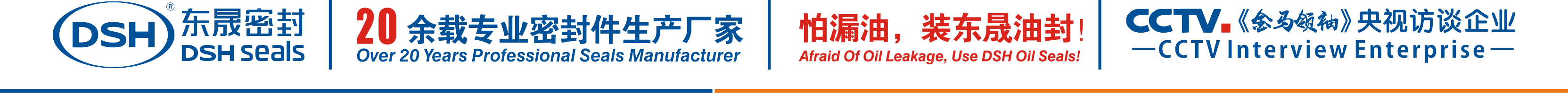 怕漏油，裝東晟油封！