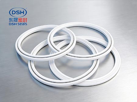 彈簧四氟密封環密封件450 彈簧四氟密封環密封件450