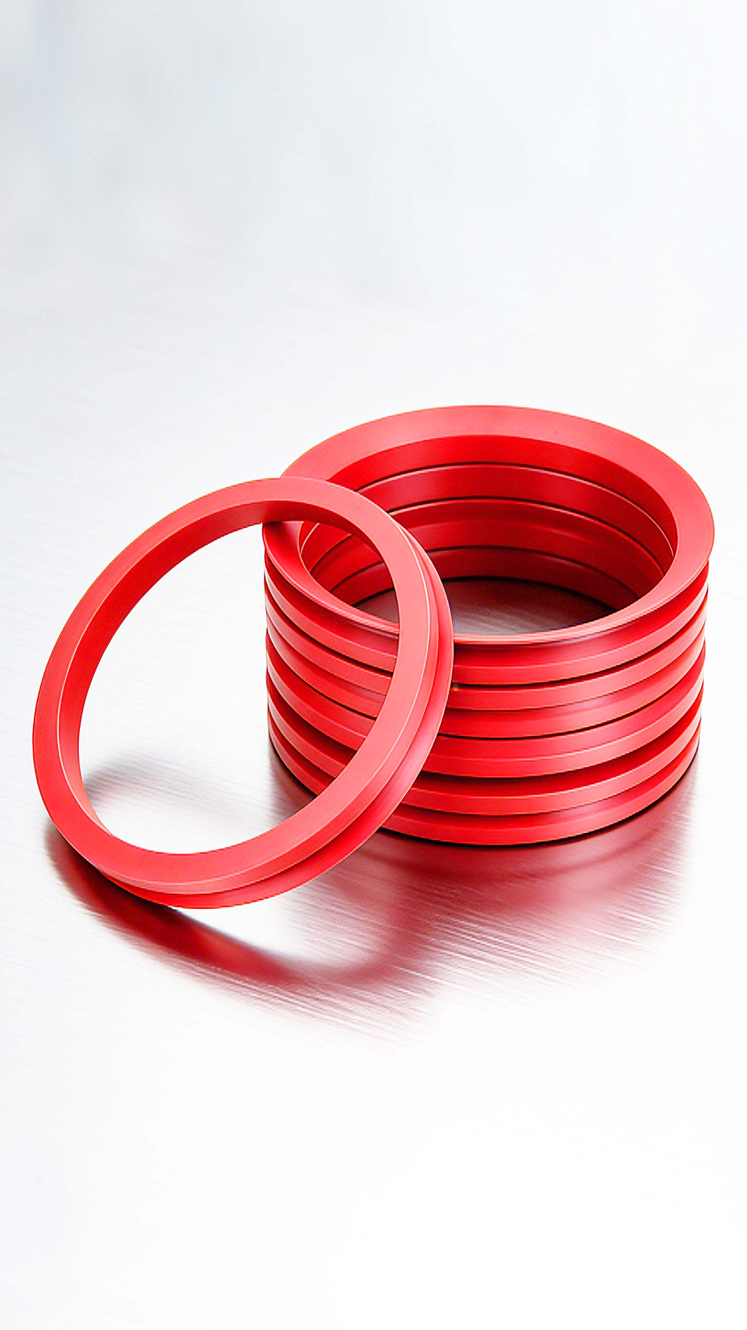 端面水封DVA密封件2000 (3)