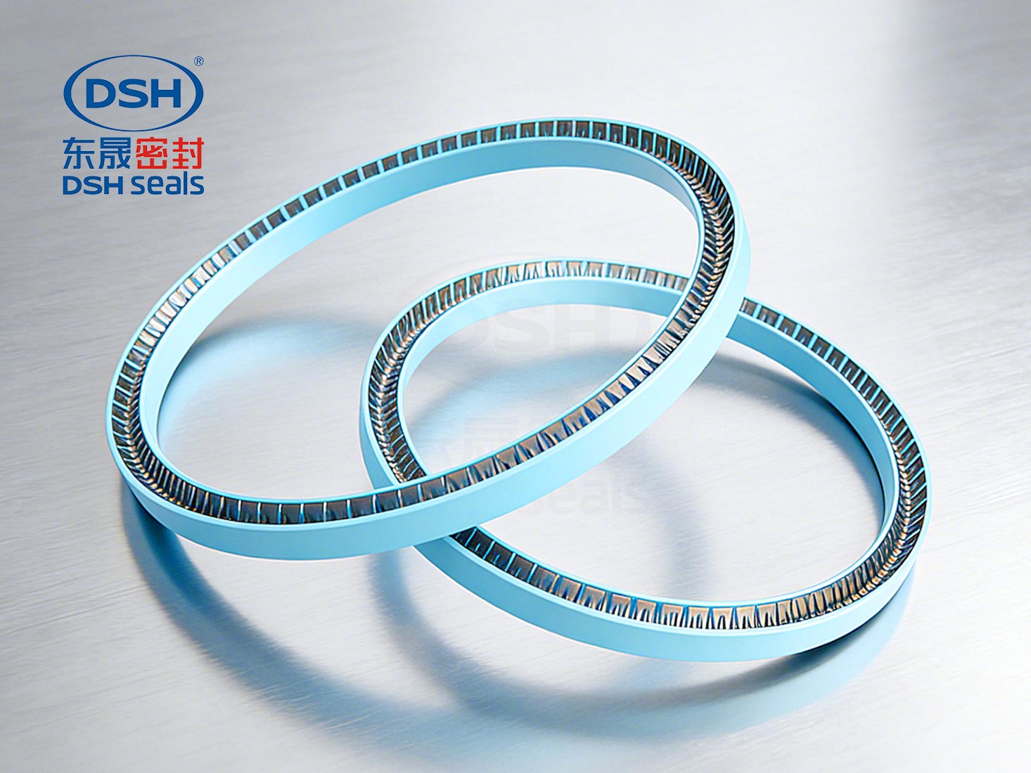 四氟泛塞封密封件(PTFE) 
