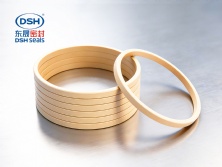 孔用格萊圈DSF